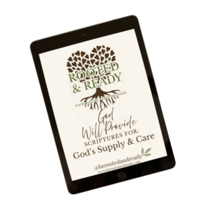God Will Provide Scripture Collection